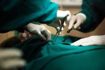 Trapianti, in Italia numeri in crescita: “2025 anno migliore di sempre”