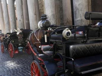 Appello per le botticelle: “Senza Roma sarebbe tristissima”
