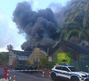 Roma, maxi incendio in un vivaio al Tuscolano: abitazioni vicine a serbatoio Gpl evacuate