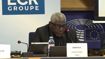 Ue, card. Sarah: “No a colonizzazione ideologica Africa, ma sussidiarietà autentica”